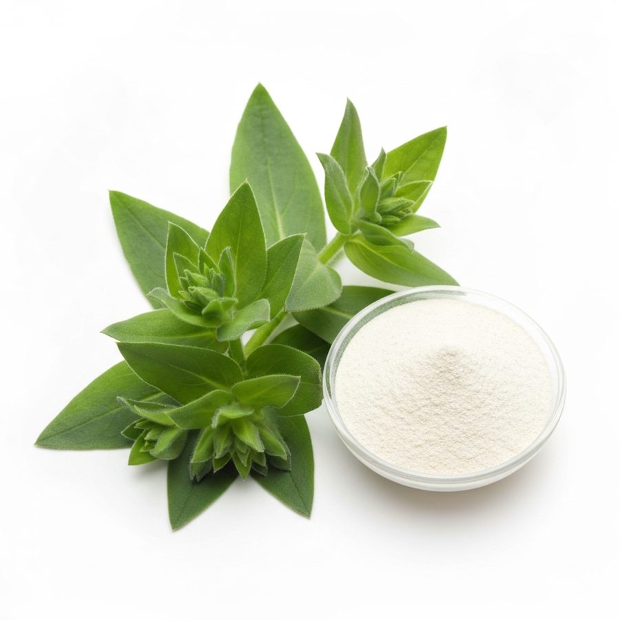 Pulmonaria Officinalis Extract